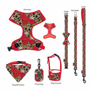 Juego de correas ajustables para perros de 8 piezas, correa para pasear perros y gatos, conjunto de arnés para perros pequeños - Product Image 4