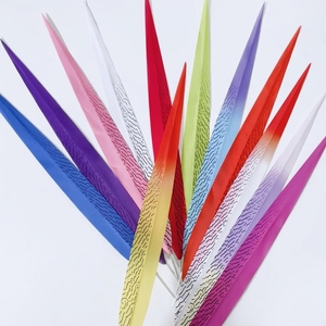 Plumas de Faisán Artificiales Teñidas al por Mayor de Fábrica para Disfraces de Carnaval, Samba, Tocados de Boda y Manualidades DIY - Product Image 1