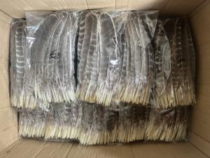 Offre Spéciale en gros <span class=keywords><strong>pas</strong></span> <span class=keywords><strong>cher</strong></span> sauvage barré queues de dinde aile plume plume pour l'artisanat de montage de mouches et <span class=keywords><strong>d</strong></span>écorations de coiffure indienne - Product Image 4