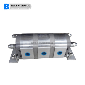 Motor de elevación sincrónico para cilindro hidráulico / Engranaje sincrónico FBS-2/4R-2.1/4.2/8.8 - Product Image 1