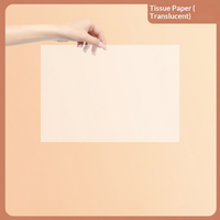 Papier d'emballage jetable en pâte de bois semi-transparent de qualité alimentaire 22 g/m² absorbant l'huile pour pain, snacks, biscuits et pâtisseries