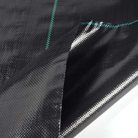 Géotextile tissé en polypropylène 100% PP de haute qualité et longue durée de vie pour la construction routière