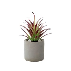 Caliente de <span class=keywords><strong>la</strong></span> venta de productos de interior decorativo artificial plantas suculentas <span class=keywords><strong>en</strong></span> cemento gris flor olla para casa - Product Image 1