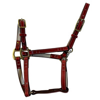 Endurance Équitation Bride Endurance Cheval Rouge Bride En Cuir Haute Qualité Premium Rub International