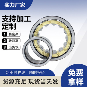 Cylindrical Roller Bearings NU1004EM 20x45 mm Brass Cage P0 Precision Electric Motors Agricultural <b>Machinery</b> - Product Image 4