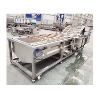 Op Maat Gemaakte Industriële Fruitwasmachine Kleinschalige Blad-En Wortelgroentepalmdadels Wasmachine Reinigingsmachine