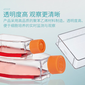 ขวดเพาะเลี้ยงเซลล์คอร์นนิ่ง T25 แบบมีช่องระบายอากาศ T75 แบบมีช่องปิดผนึก ผ่านการฆ่าเชื้อด้วยรังสี ดีไซน์โปร่งใส - Product Image 4