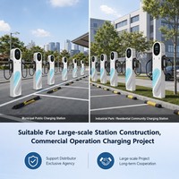 Estación de Carga para Vehículos Eléctricos 11kw 7kw 22kw Tipo 1 Tipo 2 NACS GB, Inteligente, con OCPP, APP, WiFi, RFID, CE, LCD, OEM, IP65
