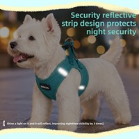 Nouvel Arrivage Transfrontalier Harnais de Type Gilet pour Chien de Petite Taille en Polyester Respirant Réfléchissant Anti-rupture pour l'Extérieur avec Laisse
