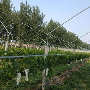 Tiges en fibre de verre FRP Poteau de support d'arbre - Product Image 6