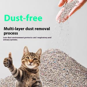 Fabrikant Groothandel Premium Merk Kattenbakvulling 100% Natuurlijk Natriumbentoniet Kattenbakvulling Mineraal Kattenbakzand - Product Image 3