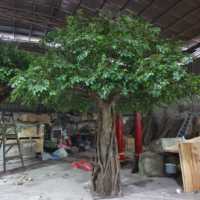 Grand arbre artificiel Banyan avec racines aériennes, feuillage luxuriant et réaliste, personnalisable pour la décoration intérieure des centres commerciaux, hôtels et restaurants
