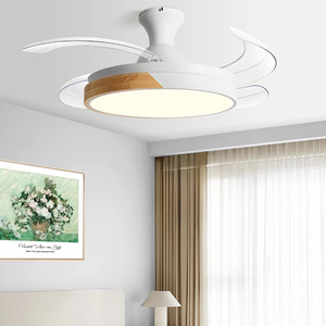 <b>Ceiling</b> Fan <b>Light</b> With <b>Led</b> Fixed Blade For Living Room Bedroom Home Lighting 10-15 Sqm Coverage - Product Image 1