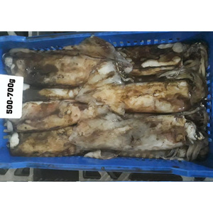 China Manufacturer <strong>Export</strong> Frozen <strong>Giant</strong> <strong>Squid</strong> <strong>for</strong> <strong>Export</strong> Frozen <strong>Giant</strong> <strong>Squid</strong> Frozen <strong>Squid</strong> Gigas
