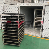 Horno Industrial para Secar Carbón y Briquetas, Máquina Secadora de Carbón para Barbacoa, Shisha y Hookah con Bandejas