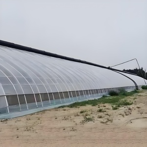 Cubierta de lluvia de película de túnel de polietileno único de PVC de alta calidad para cultivo de arándanos, venta al por mayor, gran invernadero agrícola, cobertizo de plástico - Product Image 3