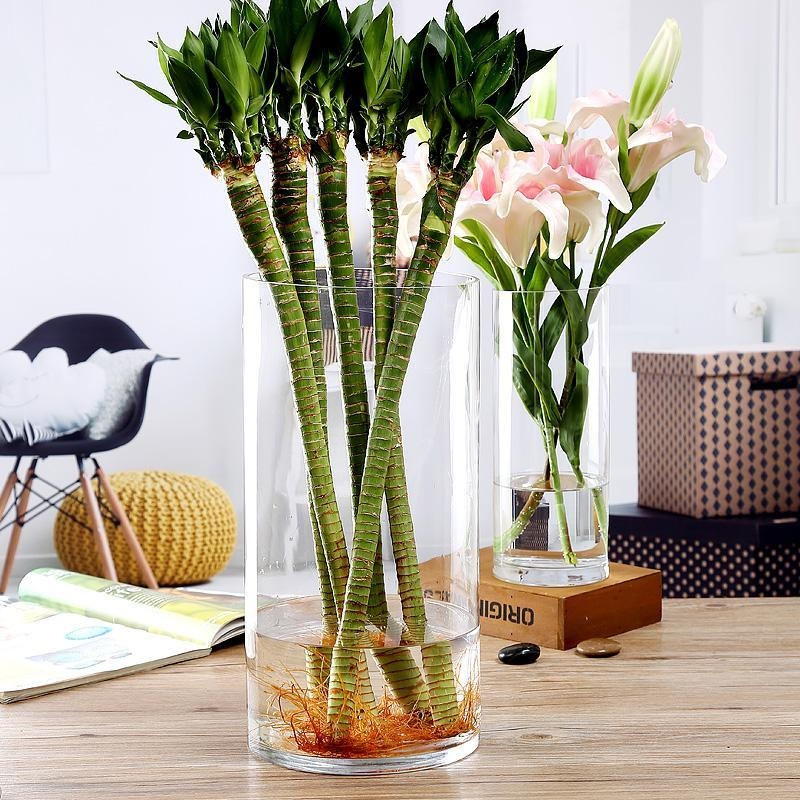 Factory Produced Wholesale Glass Flower Vase for Home Decor