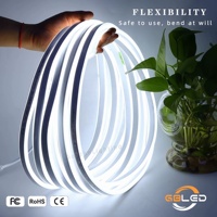 Tira de Neón Flexible IP67 de 12V 1212 120LEDs/M 3000K 4000K 6000K, Silicona Flexible para Paisajismo, Hoteles, Señalización, CE RoHS