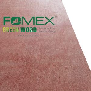 Bintangor Diseño moderno Madera contrachapada comercial Chapa de melamina 4x8 Álamo para madera contrachapada Marina Pegamento WBP para gabinetes de pisos Precio - Product Image 3