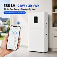 Système de batterie ESS solaire domestique tout-en-un LiFePO4 51,2 V 600 Ah 30 kWh avec onduleur hybride triphasé intégré 12 kW