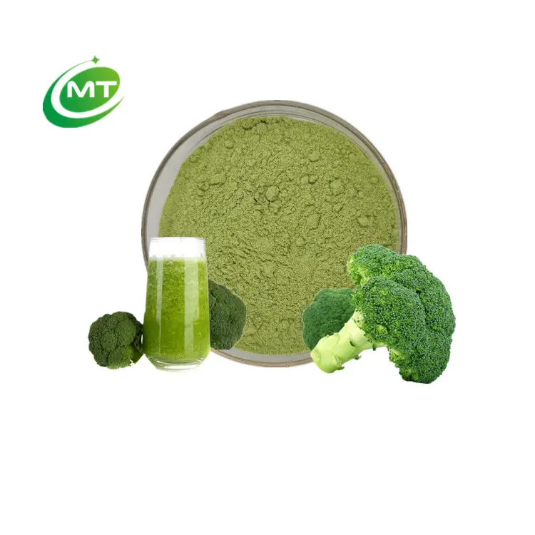 Polvo de brócol orgánico de alta calidad, supercomida verde, gran oferta