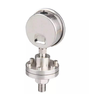 ยี่ห้อใหม่ YTP-100 เกจวัดไดอะแฟรมดิจิตอลสแตนเลส 316L 0-60 ทนต่อแรงกระแทก - Product Image 3