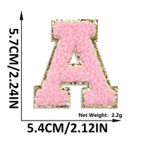 Patch brodé en tissu avec lettres anglaises, autocollant rose, fil de broderie chinois, pour vêtements et chapeaux