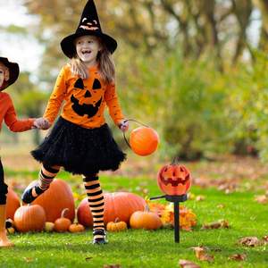 Lanterne solaire citrouille en gros, artisanat, décorations d'Halloween, piquets, décoration d'ambiance pour festivals et jardins - Product Image 4