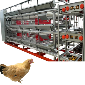 Système de cage à batterie de type H pour poules pondeuses avec collecte automatique des œufs, équipement d'élevage avicole - Product Image 2