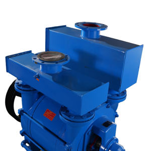 משאבת ואקום אוויר אופקית חשמלית מסדרת 2BE של BOYUAN, דגם 2BEA203, ניתנת להתאמה אישית, יחידת שאיבה עם טבעת מים נקיים בלחץ גבוה, יצרן ציוד מקורי (OEM) - Product Image 6