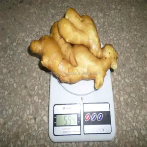ginger processing plant wholesale price to export fresh chinese ginger