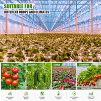 Projet clé en main de haute technologie industrielle, structure multi-voûtes Venlo, agriculture intelligente, serre agricole en verre pour la culture de tomates