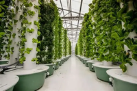 Système de culture hydroponique vertical multicouche Seedafarm Space Tree, conteneur intelligent pour la culture de légumes, jardin intérieur, pompe, plastique
