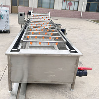 Automatische industriële luchtbel ozon fruitwasmachine groente- en fruitwasmachine met belletjes