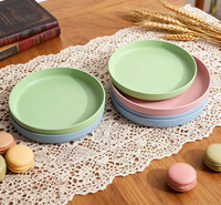 Plaque en silicone jetable de qualité alimentaire durable résistante à la chaleur sans BPA gravure personnalisée sans danger pour restaurant fête usage domestique