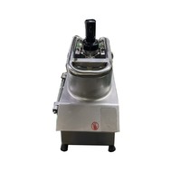 De Automatische En Handige 550W/500Kg/Hgroente En Fruitsnijmachine
