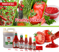 Tomate concentrée en sachet, en boîte de conserve, en fût, biologique, fabriquée en usine, purée de tomates, sauce ketchup, pâte de tomates