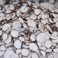 Équipement de séchage de feuilles gingembre mangue à économie d'énergie déshydrateur de pois roses de manioc séchoir à ceinture en maille de carotte radis blanc