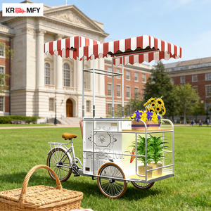 Chariot de vente ambulante de crème glacée avec congélateur à poussée manuelle - Product Image 6