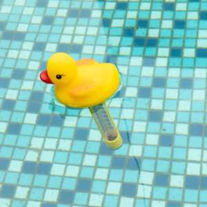 Хорошее качество плавательный бассейн плавающий термометр животных плавающий бассейн пластиковые цифровые термометры - Product Image 2