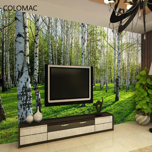 Peler et coller personnalisé 3D Mural <span class=keywords><strong>papier</strong></span> <span class=keywords><strong>peint</strong></span> salon chambre canapé TV fond <span class=keywords><strong>papier</strong></span> <span class=keywords><strong>peint</strong></span> vert <span class=keywords><strong>bouleau</strong></span> forêt Photo <span class=keywords><strong>papier</strong></span> <span class=keywords><strong>peint</strong></span> - Product Image 2