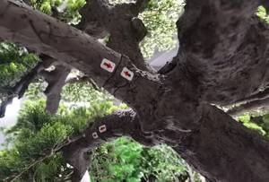 Bán Buôn Nhân Tạo Cây Hoa Đào Cây Nhựa Hoa Anh Đào Cây Cho Nhà Đám Cưới Đảng Vườn Trang Trí Nội Thất - Product Image 4