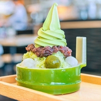 Poudre de Matcha Bio Pur Saveur Avocat Qualité Cérémonie Thé Vert Minceur pour Latte, Lait et Recettes Cuisinées en Vrac