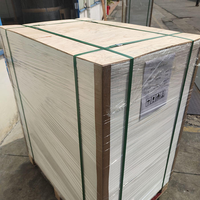 225gr 70X100cm Fbb Papier Triplex de 290 Grs Papier Folcote