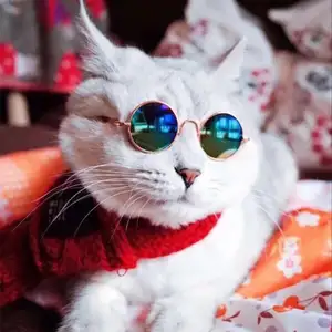 2024, оптовая продажа, прямые продажи креативных игрушек, солнцезащитные очки для кошек и собак, очки для домашних животных, солнцезащитные очки на заказ