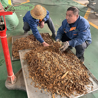 Ligne de stérilisation continue à la vapeur pour semences, céréales, blé, grains bruts, riz, épices, piments, cumin, cardamome