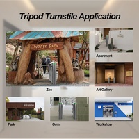 Torniquete Trípode de Acceso Rápido, Entrega en 7-15 Días, Fabricante OEM, MOQ 1 Unidad, Reconocimiento Facial y QR, Acero Inoxidable, IP44, Tipo Puente