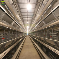 Solution clé en main pour ferme avicole de 100 000 poules pondeuses, équipement d'élevage automatique pour l'élevage commercial de poules pondeuses