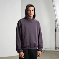 Kişiselleştirilmiş Fonksiyonel Yenilikçi Tasarım %100 Pamuklu Polar Kapüşonlu Sweatshirt Sıcak ve Kırışmaz 3D Nakış
