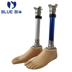 Prótesis BK <span class=keywords><strong>para</strong></span> pie por debajo <span class=keywords><strong>de</strong></span> la <span class=keywords><strong>rodilla</strong></span>, conjunto cosmético <span class=keywords><strong>para</strong></span> amputados, componente <span class=keywords><strong>de</strong></span> reemplazo <span class=keywords><strong>de</strong></span> miembro <span class=keywords><strong>para</strong></span> amputados por debajo <span class=keywords><strong>de</strong></span> la <span class=keywords><strong>rodilla</strong></span> - Product Image 1